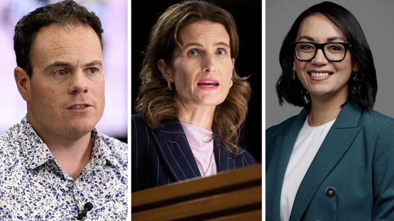 MEDIAWATCH: The F Word, Ani O’Brien and why Maiki Sherman kinda has to resign