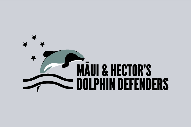 Oceans on the agenda as environmental groups pitch to politicians – Māui and Hector’s Dolphin Defenders