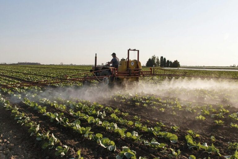 GUEST BLOG: Seeby Woodhouse – Iran War = no food?