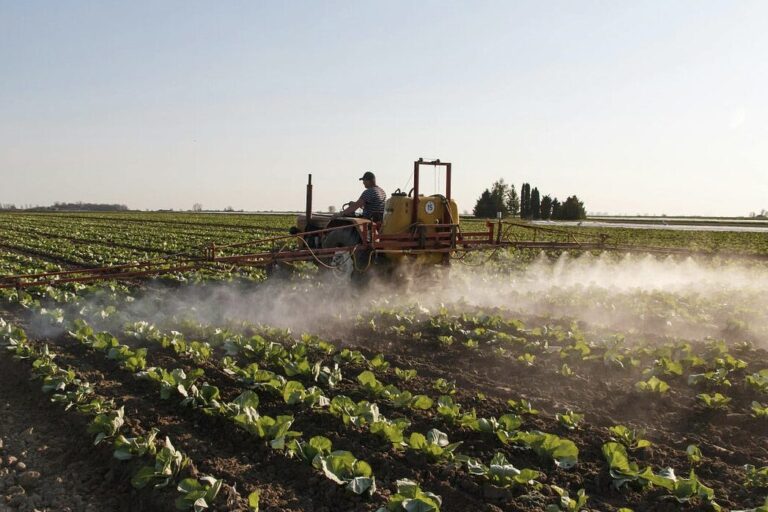 GUEST BLOG: Seeby Woodhouse – Iran War = no food?
