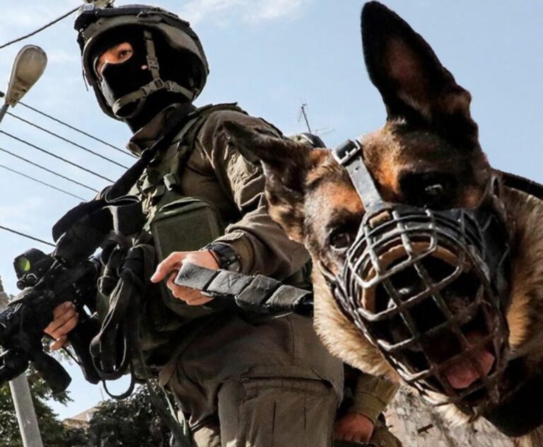 IDF subcontracts sexual assault of Palestinian prisoners to dogs???