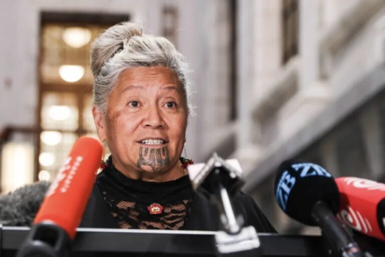 Why the Te Tai Tokerau Party Could Struggle