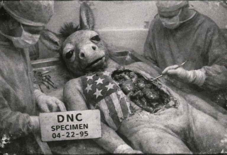 Democrats autopsy is an emergency amputation