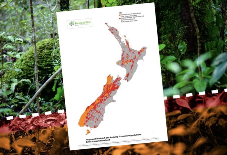 Tama Potaka must resign immediately – scale of Conservation land sell off on par with largest land confiscations ever