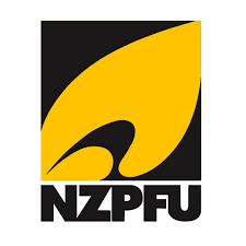 Is FENZ Properly Funded – Is FENZ Properly Using Its Funds