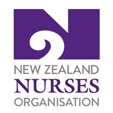 Plunket Funding Coalition Promise Forgotten In Budget 26 – New Zealand Nurses Organisation