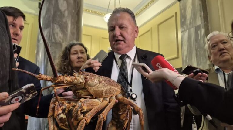 Shane ‘Stretch’ Jones needs to define what a taxpayer perk is before he attempts to define a woman