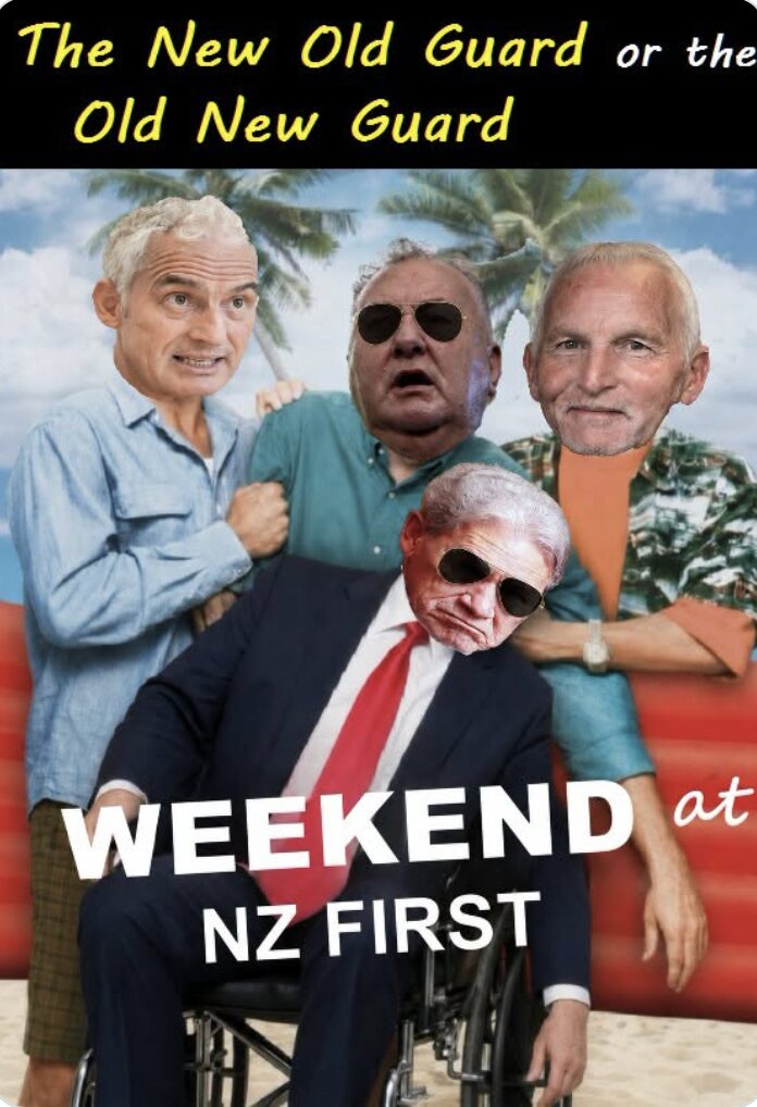 NZF now add anti-vaxxer Anti-abortionist lunatic Harete Hipango-Brownlie to their cavalcade of political circus freaks and gumboot fascism