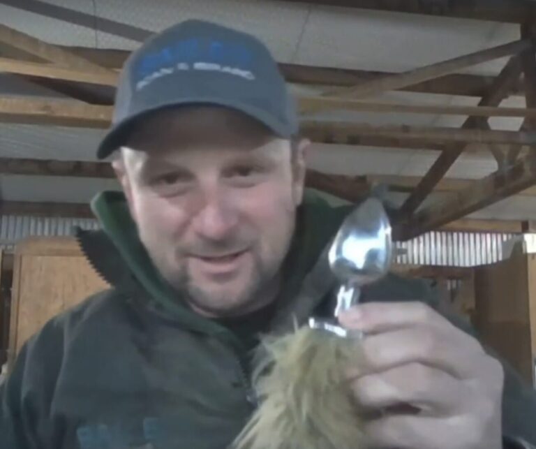 MEDIAWATCH: TVNZ Tova vs Butt-plug loving Rural hunters vs the Lonely Cat Ladies Collective