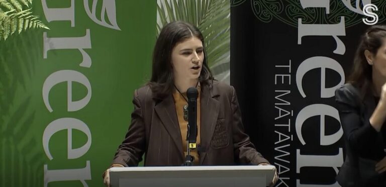Green Party staunches up on taxing the Mega Wealthy