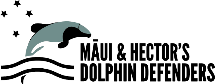 International Whaling Commission repeats warnings on Māui and Hector’s dolphins